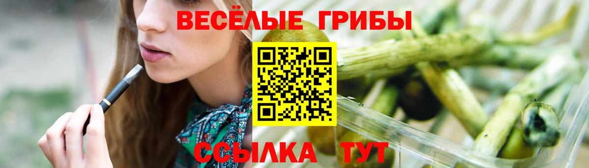 Чебоксары  Галлюциногенные грибы мицелий  где продают   Галлюциногенные грибы ЛСД  Вход с VPN 